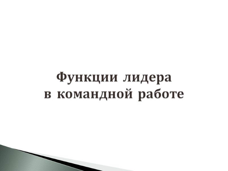 Функции лидера в командной работе